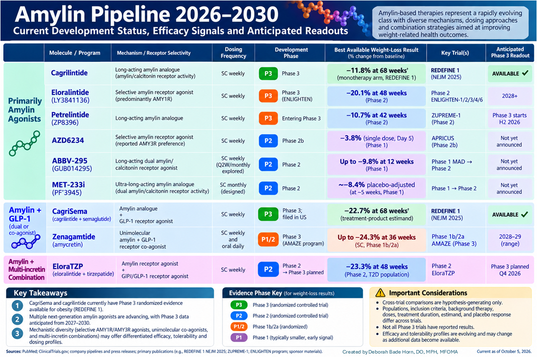 Amylin Pipeline
