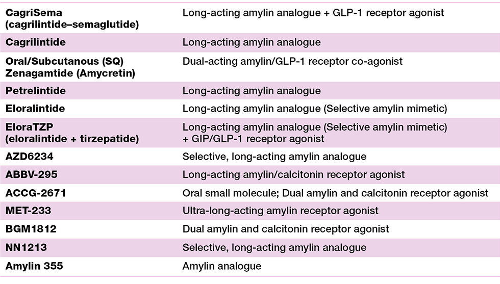 Emerging_Therapies_Amylin_table_NEW